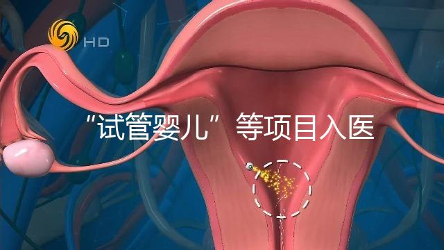 “試管嬰兒”等項目入醫(yī)保能如期落地嗎？廣西回應