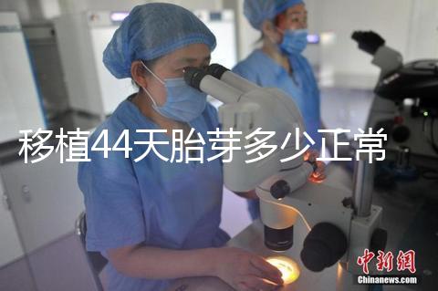 移植44天胎芽多少正常？胎芽長(zhǎng)度和孕周對(duì)照表一覽