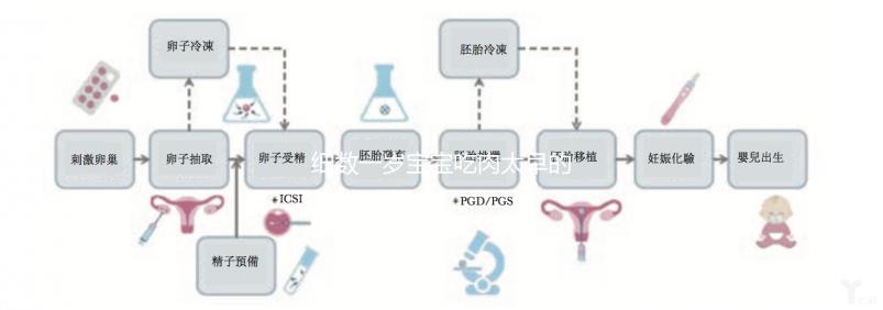 細(xì)數(shù)一歲寶寶吃肉太早的危害,早好還是晚好看完明白