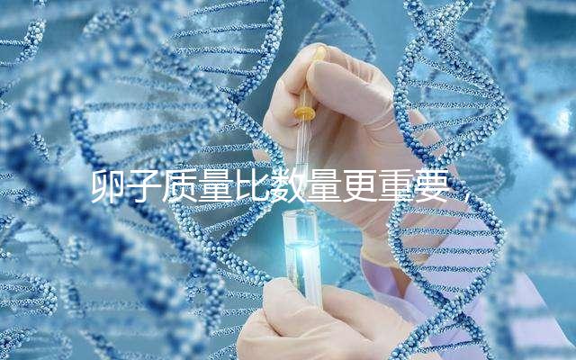 卵子質量比數(shù)量更重要,9個卵泡生男孩也很難