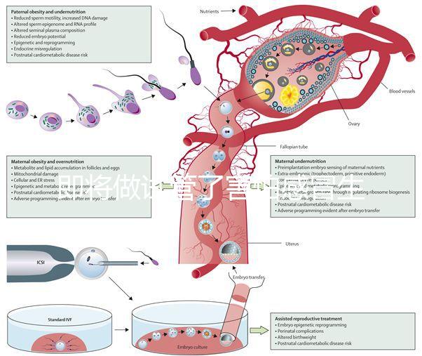 即將做試管了害怕感冒生病，這5招教你提高免疫力