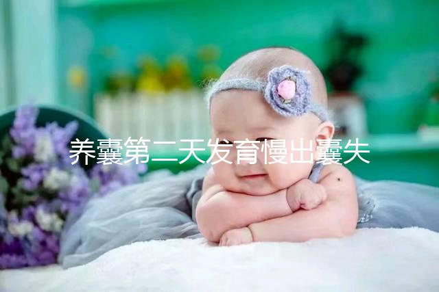 養囊第二天發育慢出囊失敗還有戲！前提：第三天繼續培育