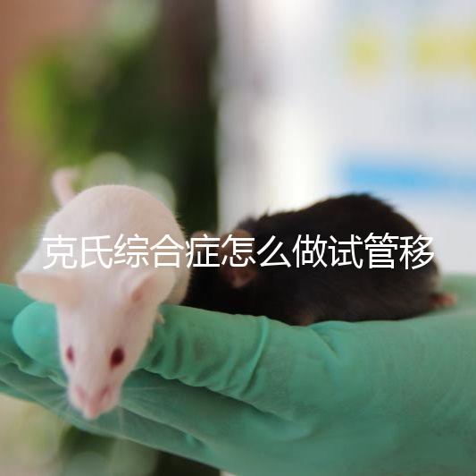 克氏綜合癥怎么做試管移植看這,促排取卵一個(gè)流程不能少