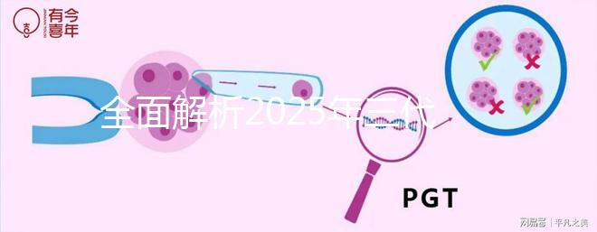 全面解析2025年三代試管嬰兒詳細流程,讓您輕松掌握生育技巧