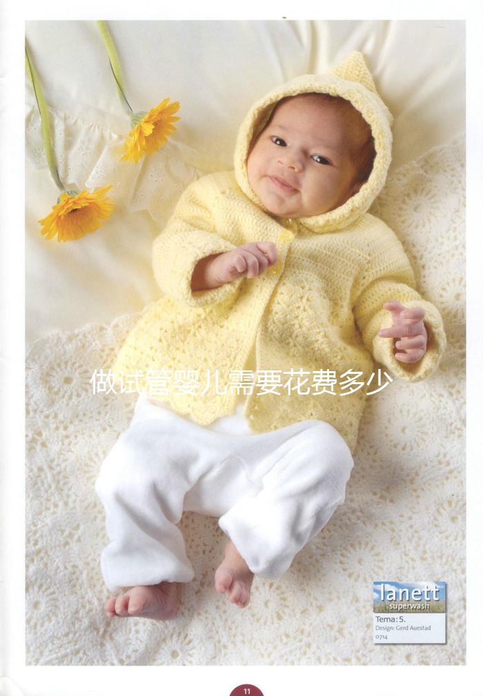 做試管嬰兒需要花費多少錢