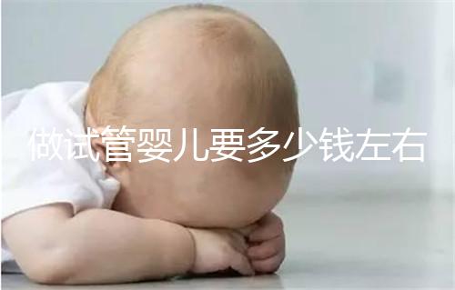 做試管嬰兒要多少錢左右？