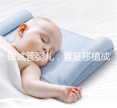 做試管嬰兒，囊胚移植成功懷孕的幾率更高？