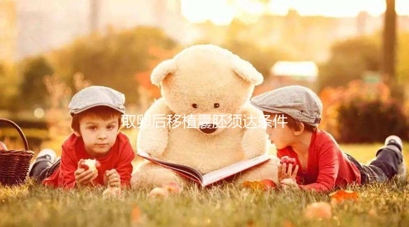 取卵后移植囊胚須達條件!至少要達到這3個標準