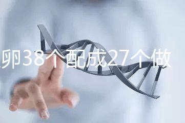 取卵38個配成27個做試管成功率高,前提:醫生叫養囊要聽話