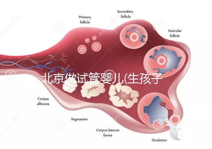 北京做試管嬰兒(生孩子)的費用具體是多少？