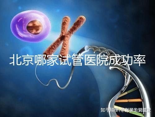 北京哪家試管醫院成功率最高？
