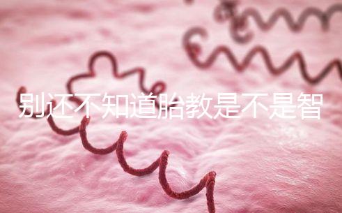 別還不知道胎教是不是智商稅，有沒有用來聽聽專家怎么說