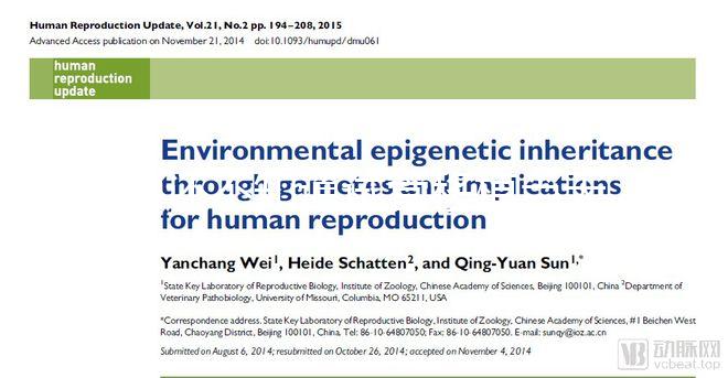 別還不知道試管移植當(dāng)天打什么針容易著床,用對(duì)能更快好孕