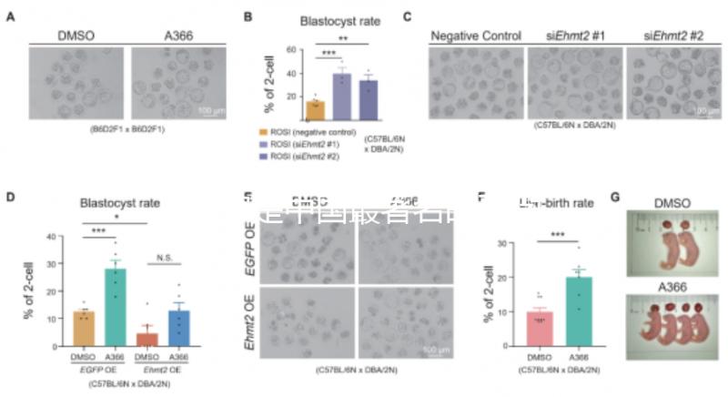 哪家是中國最著名的不孕不育醫院,包括正規機構的排名