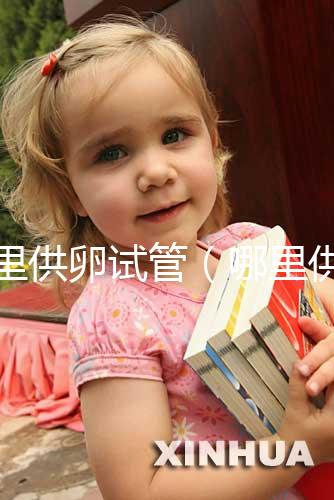 哪里供卵試管(哪里供卵試管的費用低)