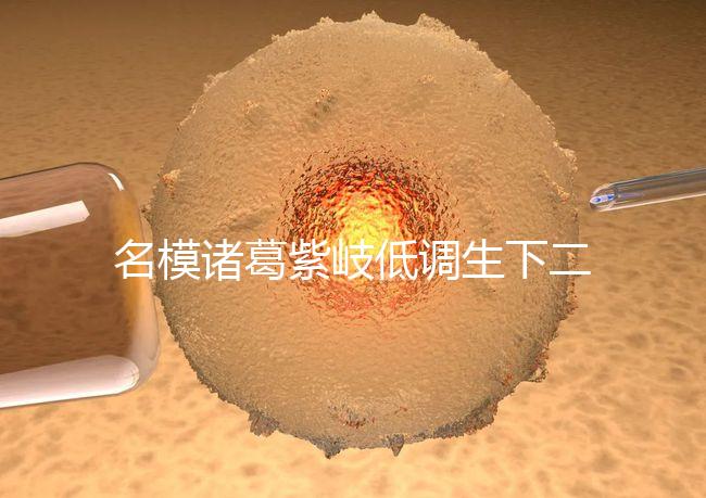 名模諸葛紫岐低調生下二胎，孕7個月肚子扁平成焦點