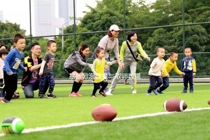 基礎(chǔ)卵泡數(shù)量與取卵數(shù)量有差異,并不影響試管70%受精率