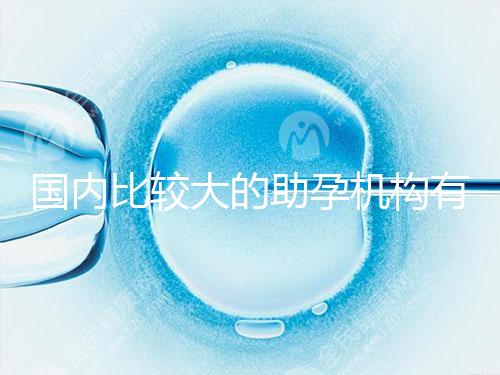 國內比較大的助孕機構有哪些?盤點2024中國正規助孕機構名單