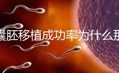 囊胚移植成功率為什么那么高？一期給你講明白！