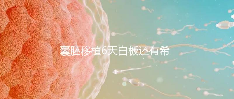 囊胚移植6天白板還有希望嗎？別沮喪該來的總是會來的