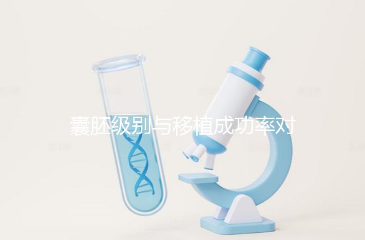 囊胚級(jí)別與移植成功率對(duì)照表:級(jí)別越高成功率越高嗎?