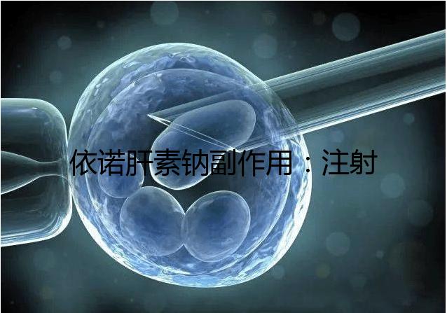 依諾肝素鈉副作用:注射過量可能會導(dǎo)致過敏