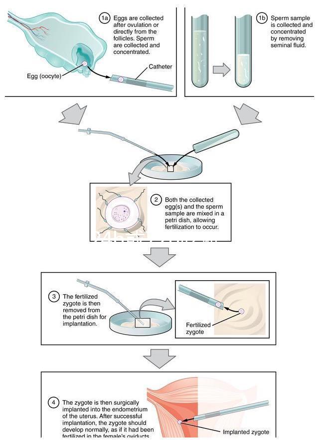 事后24h或72h吃避孕藥有效率真不高，一不小心容易中招