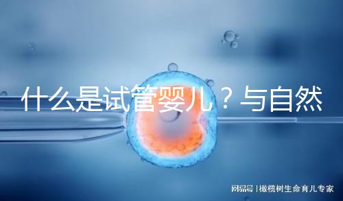 什么是試管嬰兒?與自然懷孕的小孩有區別嗎?一文告訴你!