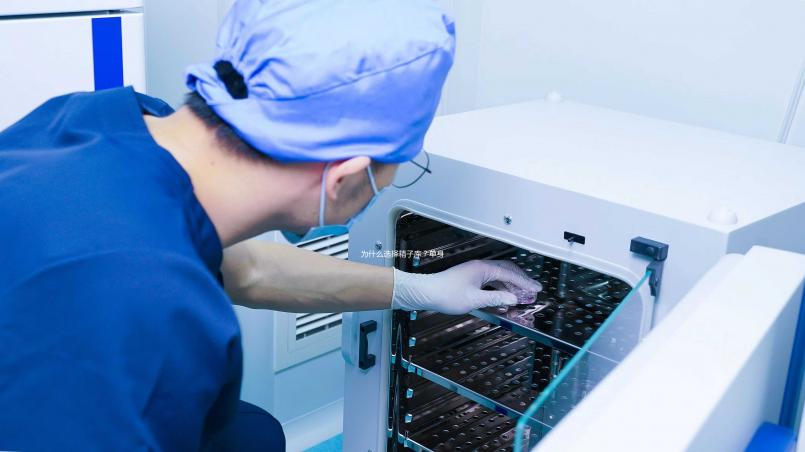 為什么選擇精子庫？單身女性推崇精子銀行的4個理由