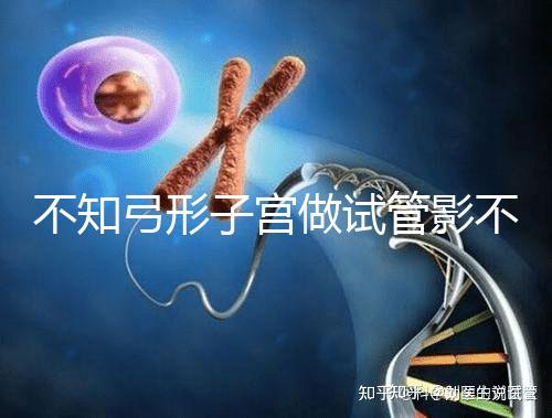 不知弓形子宮做試管影不影響移植速覽，有多危險趁早了解