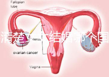 不清楚女女結(jié)婚哪個國家能領(lǐng)證來看，歐洲這些地區(qū)都可