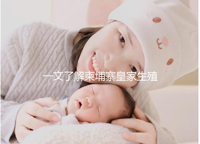 一文了解柬埔寨皇家生殖醫院:院長吳華林篇