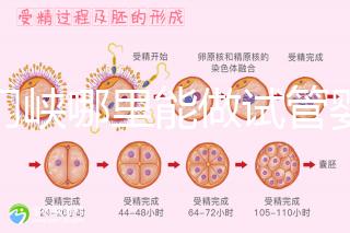 三門峽哪里能做試管嬰兒？從經(jīng)歷談成功率和費(fèi)用