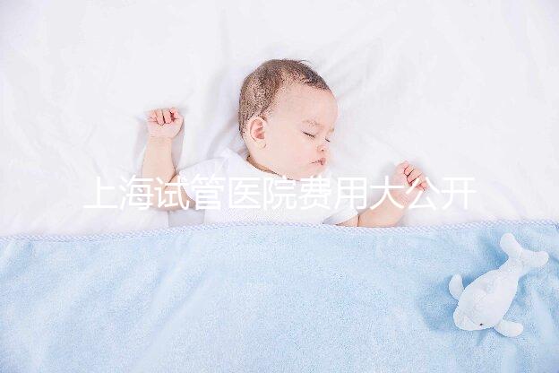 上海試管醫院費用大公開！過來人表示無法報銷真不便宜