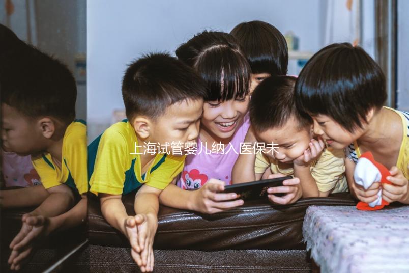 上海試管嬰兒納入醫(yī)保未批準(zhǔn)?專家:想報銷助孕費(fèi)用再等等