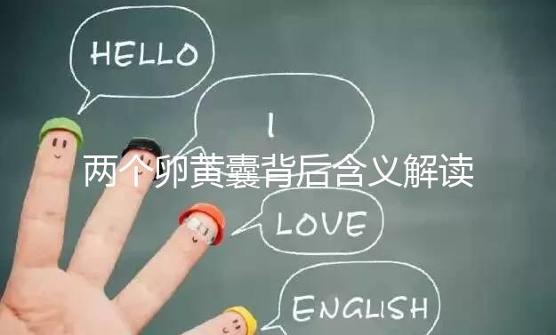 兩個卵黃囊背后含義解讀：雙胞胎、龍鳳胎都有可能！