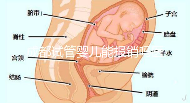 成都試管嬰兒能報(bào)銷(xiāo)嗎醫(yī)保？政策解讀
