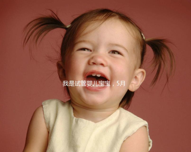 我是試管嬰兒寶寶,5月15號移植的囊胚,預產期是怎么算的 。。?