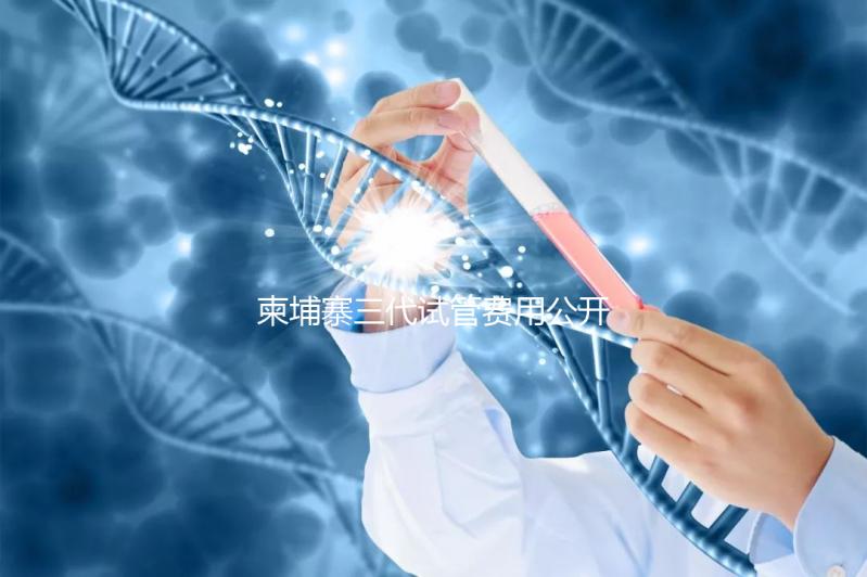 柬埔寨三代試管費(fèi)用公開,不同項(xiàng)目價格不同