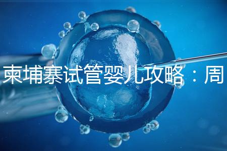 柬埔寨試管嬰兒攻略：周期和時(shí)間規(guī)劃全解析！