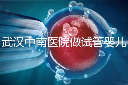 武漢中南醫(yī)院做試管嬰兒需要多少錢：2025年這些試管收費(fèi)有變動