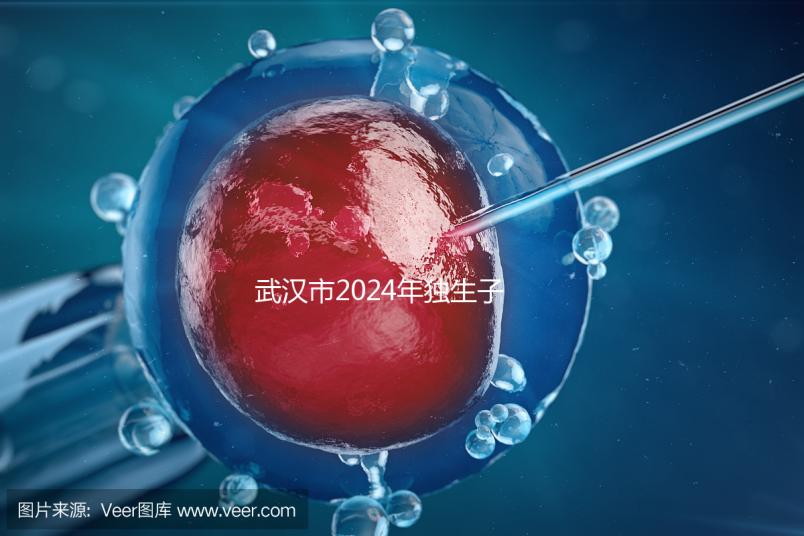 武漢市2024年獨(dú)生子女補(bǔ)貼政策已經(jīng)實(shí)施，領(lǐng)取流程更加規(guī)范