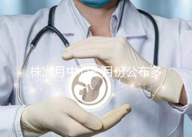 株洲月中心一月份公布多少錢？附2024年蘆松區(qū)排行榜