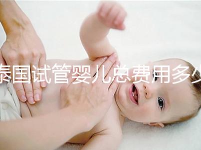 泰國試管嬰兒總費用多少（泰國試管嬰兒總費用多少錢）