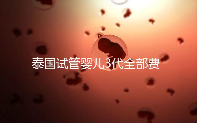 泰國試管嬰兒3代全部費用大概是多少？
