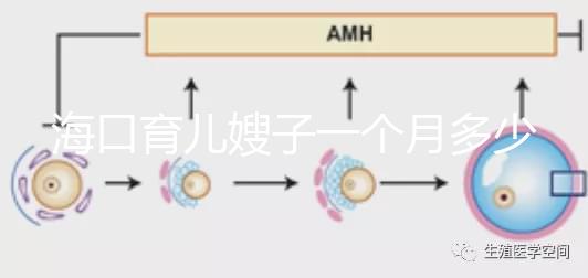 ?？谟齼荷┳右粋€月多少錢，哪個好答案總結，新手父母必須看
