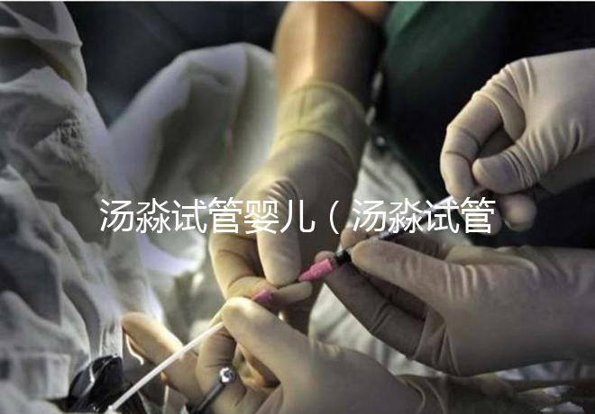 湯淼試管嬰兒(湯淼試管嬰兒是怎么來的)