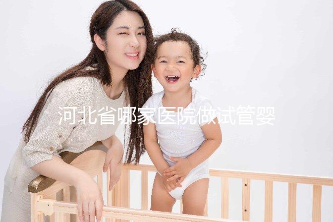 河北省哪家醫(yī)院做試管嬰兒好？這5家醫(yī)院成功上榜！