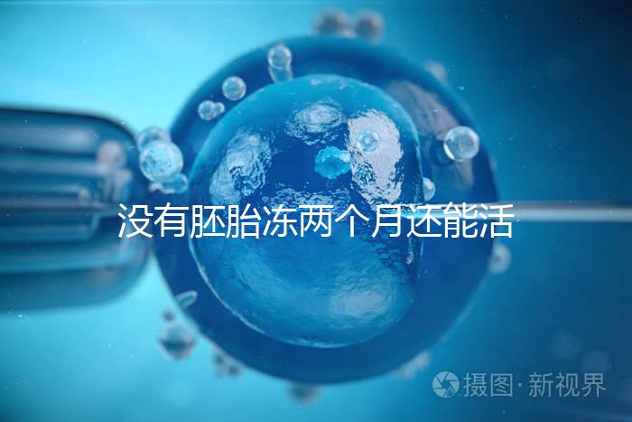 沒有胚胎凍兩個月還能活著嗎?60s會告訴你怎么樣?