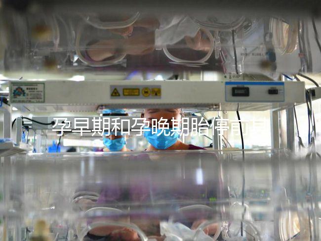 孕早期和孕晚期胎停前其實(shí)都有暗示信號(hào),身體不會(huì)騙人